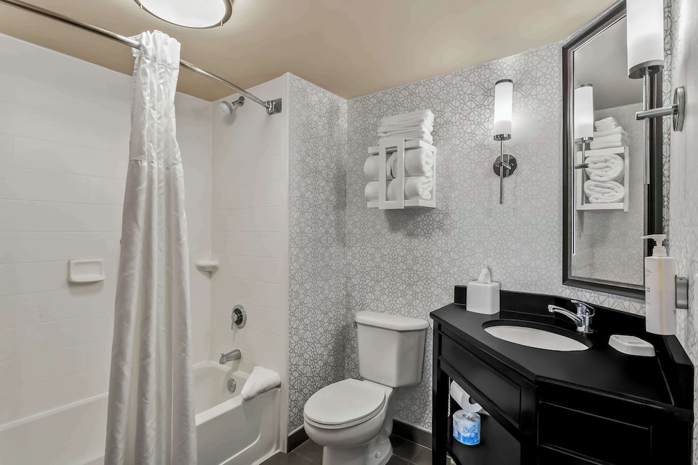 Hampton Inn Bowie - photo 26