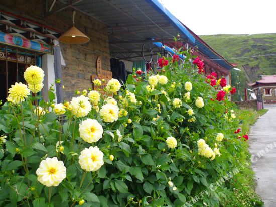 Garze Traveler’s Inn in Kangding, People's Republic of China