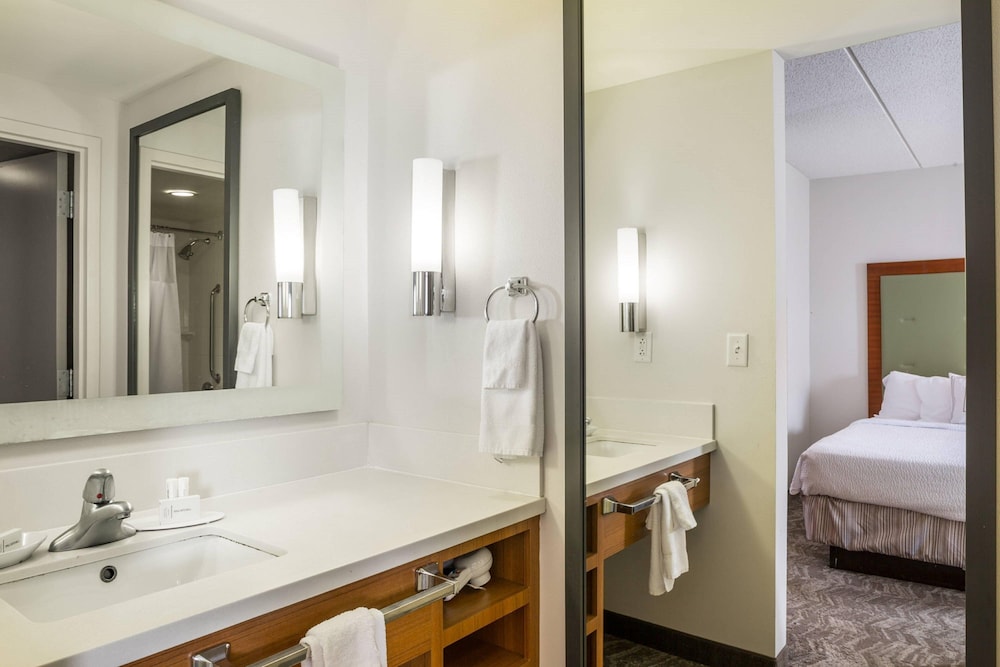 Springhill Suites by Marriott Hampton Coliseum - photo 11