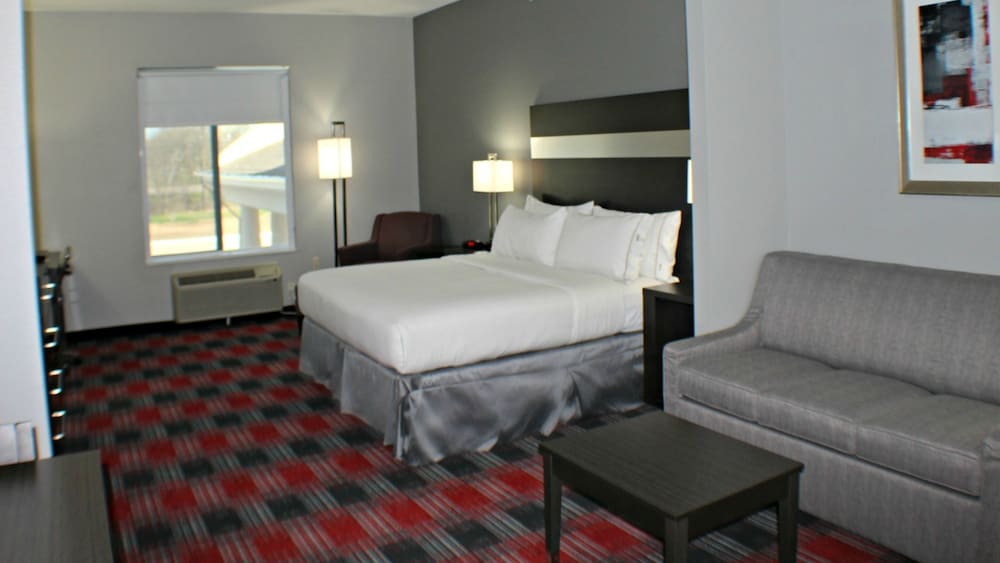 Holiday Inn Express & Suites Bonham an IHG Hotel - photo 4