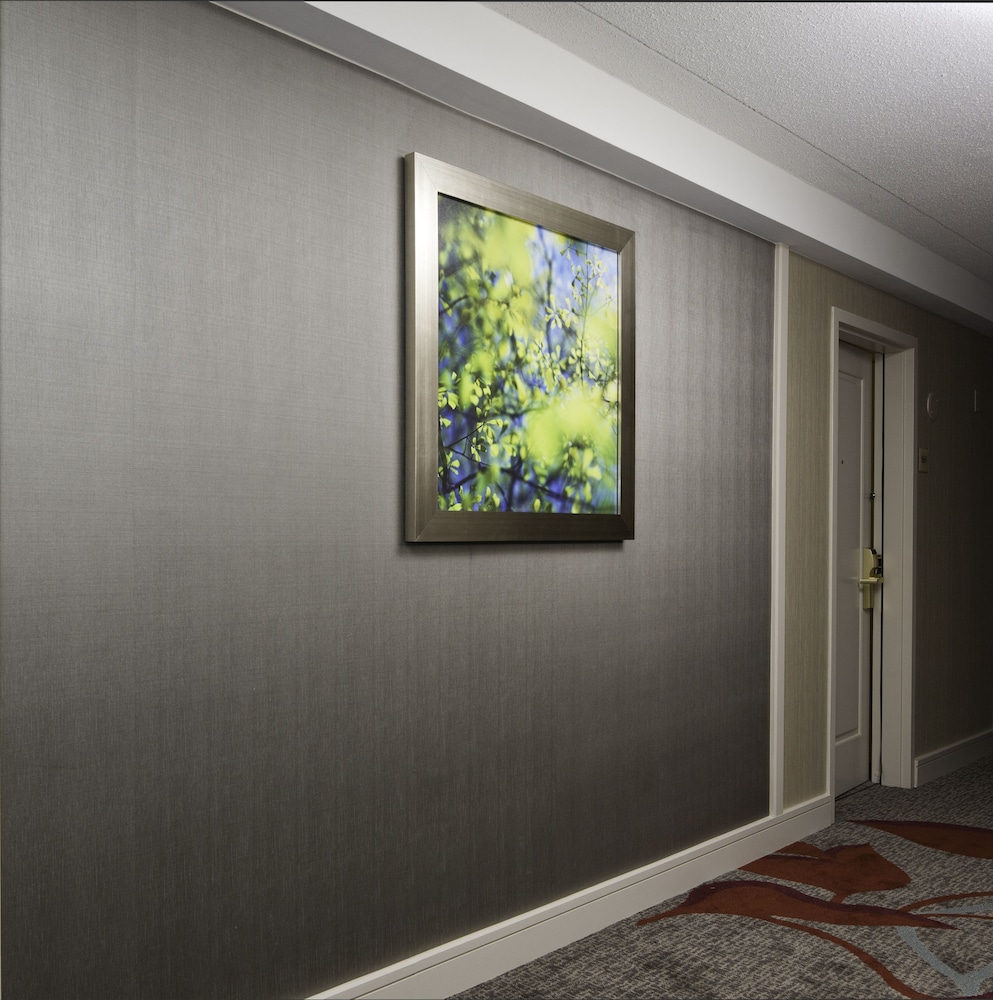 DoubleTree by Hilton Pittsburgh Green Tree - photo 31