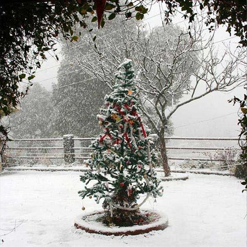 Mountain Trail - carbon neutral hotel in Naini Tal