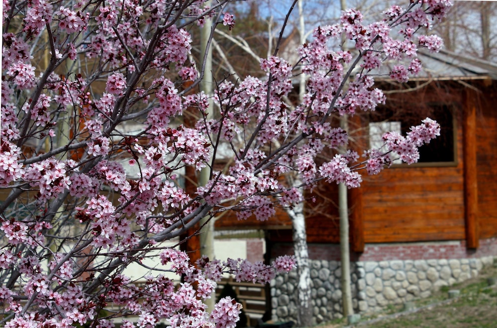 Holiday Inn Resort The Lodge At Big Bear Lake by IHG - photo 43