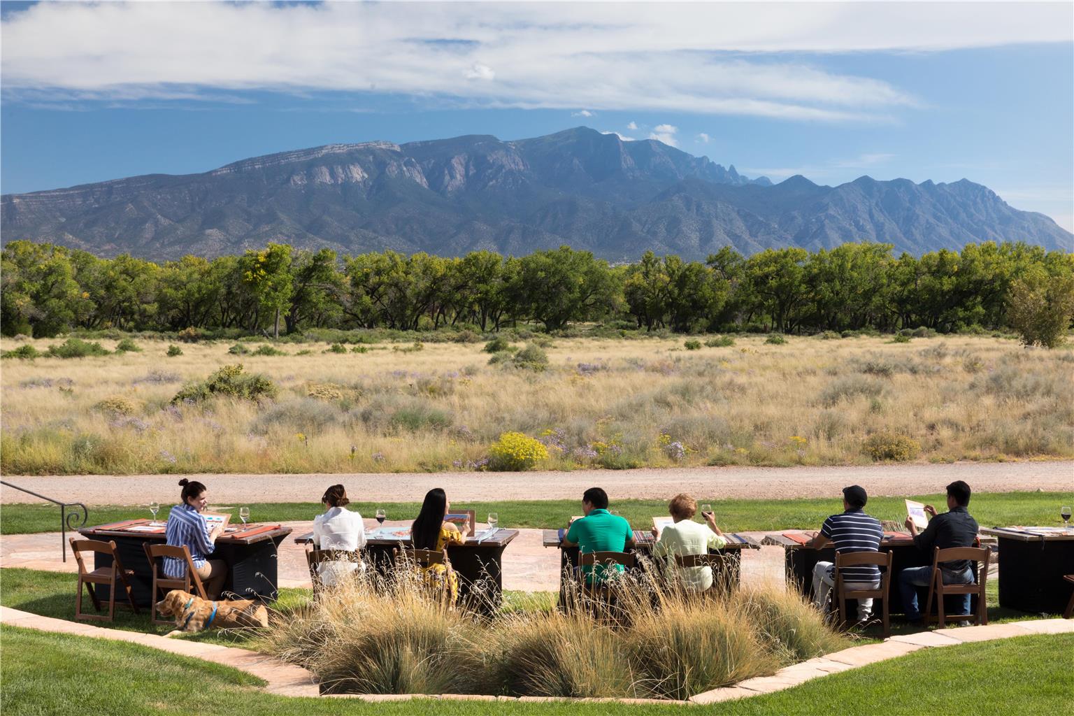 Hyatt Regency Tamaya Resort and Spa - photo 37