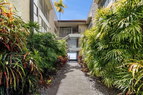 Hale Pohaku 1 - photo 24