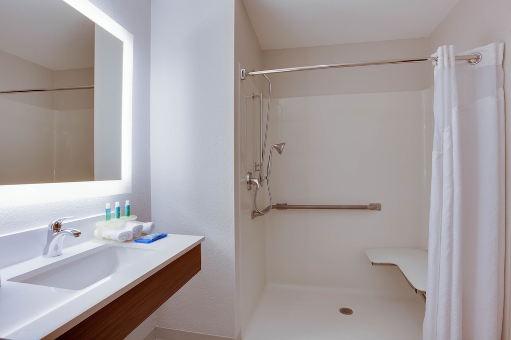 Holiday Inn Express Orlando International Airport by IHG - photo 4