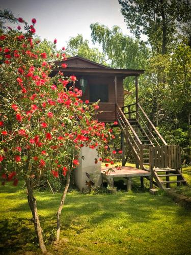 Cabaña en Isla del Delta de Tigre LA CALMA in Tigre, Argentina