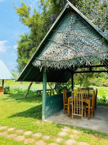 Meegahapokuna Resort — Anuradhapura — photo 2