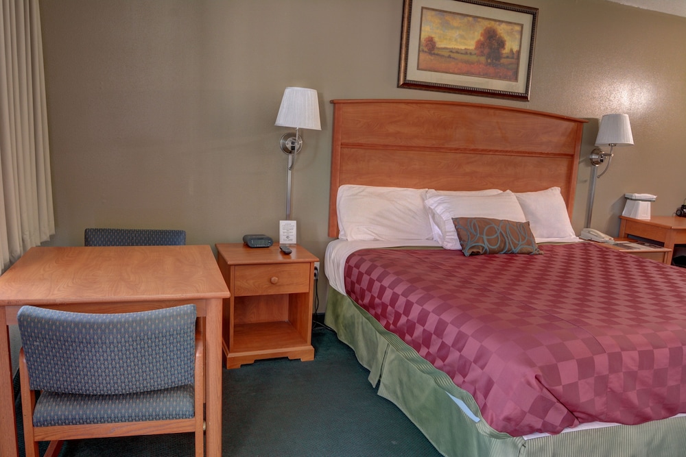 Palms Motel - photo 10