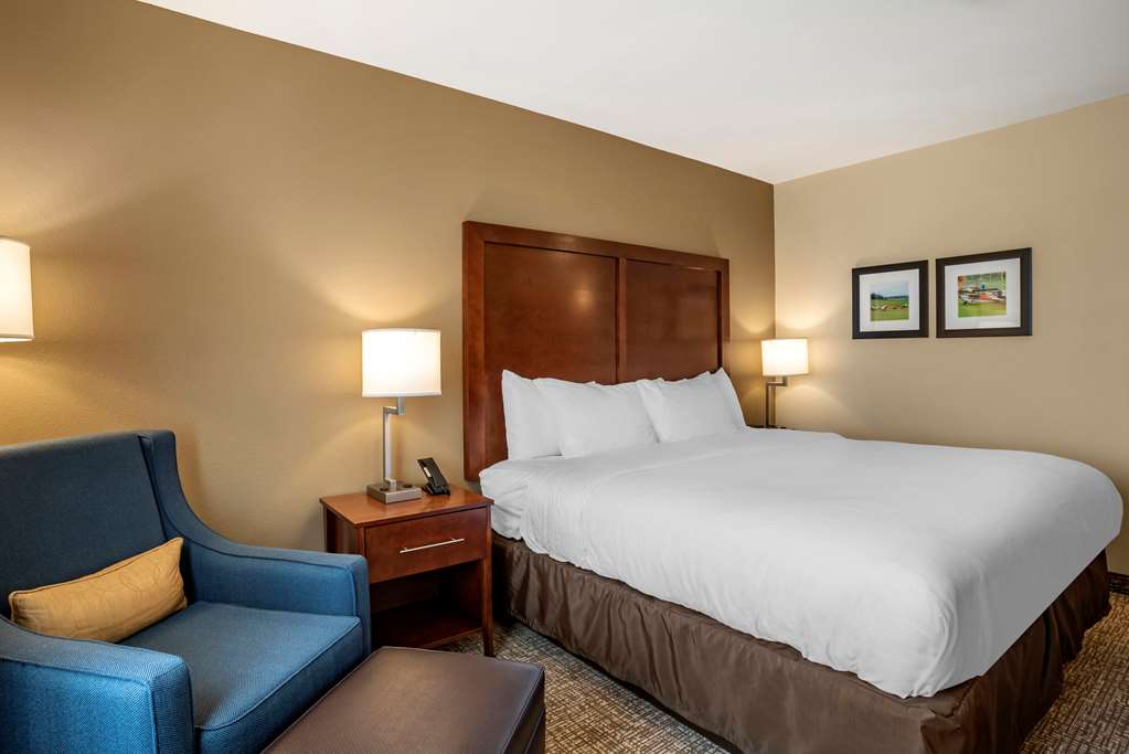 Comfort Inn & Suites Harrisonburg - photo 8