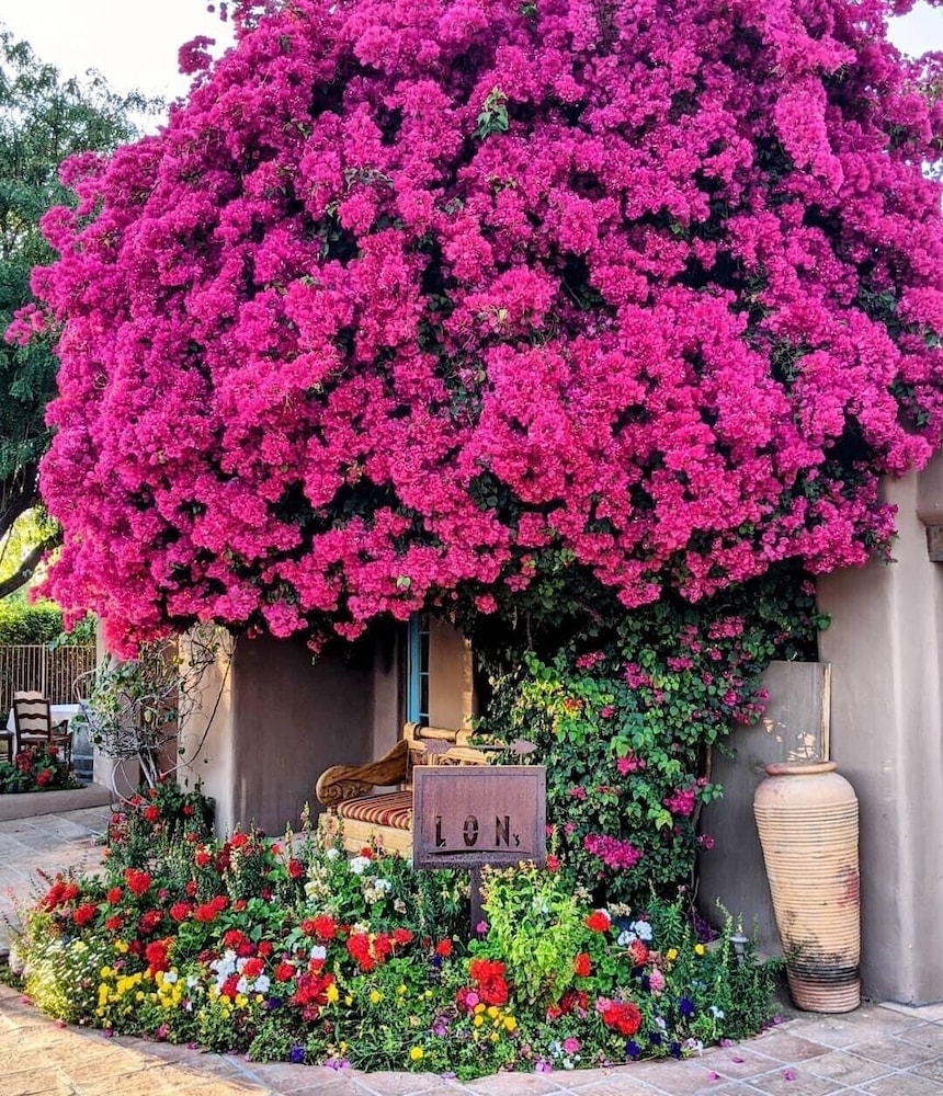Hermosa Inn - photo 24