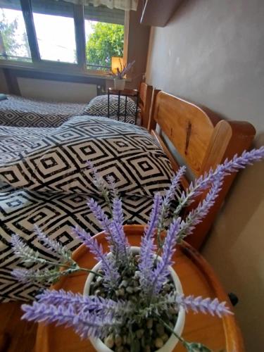 Pokoje Przy Szelmencie - last minute hotel in Unknown City