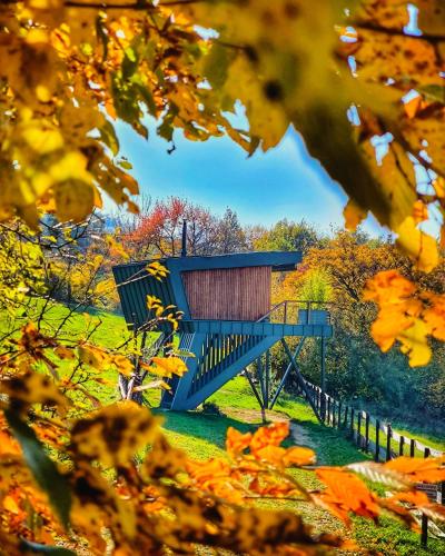 Treedom in Prievidza, Slovakia