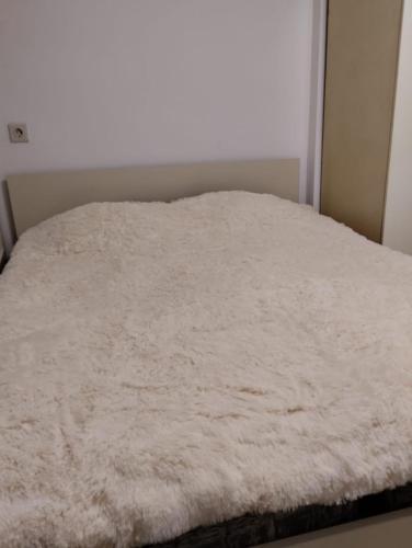 Central apartment of Tbilisi