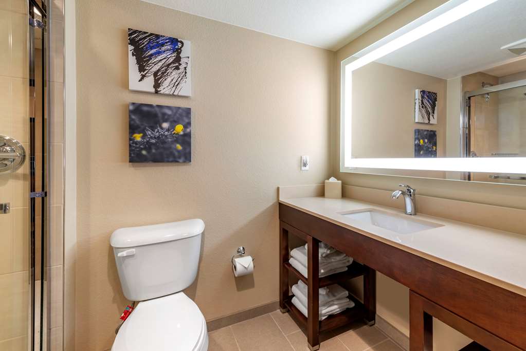 Comfort Suites Broomfield Boulder Interlocken - photo 15