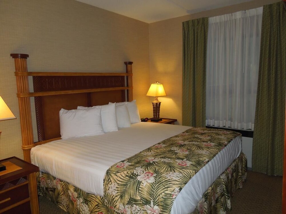 Maui Sands Resort & Indoor Waterpark - photo 10