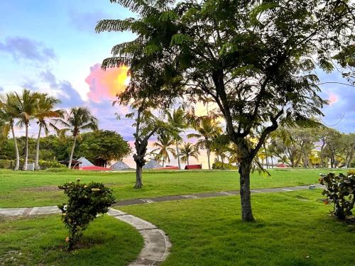 La Perle des Caraïbes — 4-Star Luxury Hotel in Sainte-Anne, Guadeloupe