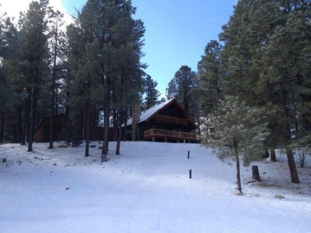 Arizona Mountain Inn and Cabins - photo 315