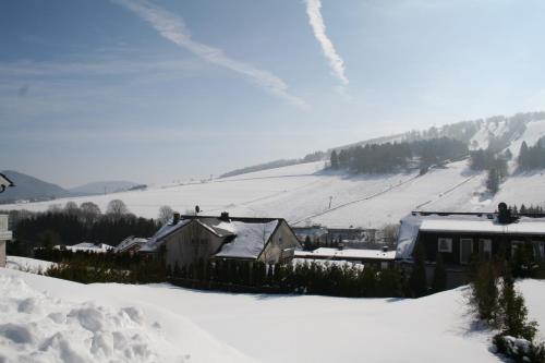 Komfort Fewo TRAUMBLICK am Sonnenlift mit großer Infrarotsauna — 4-Star Luxury Hotel in Willingen, Germany