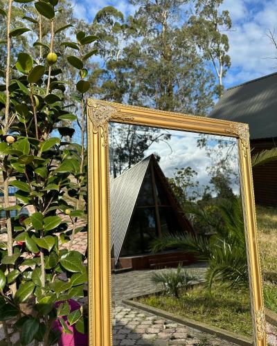 Eucalyptus Cottages