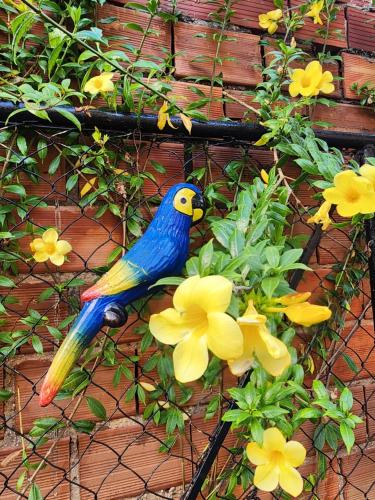 Condomínio Center luz in Teresina, Brasil
