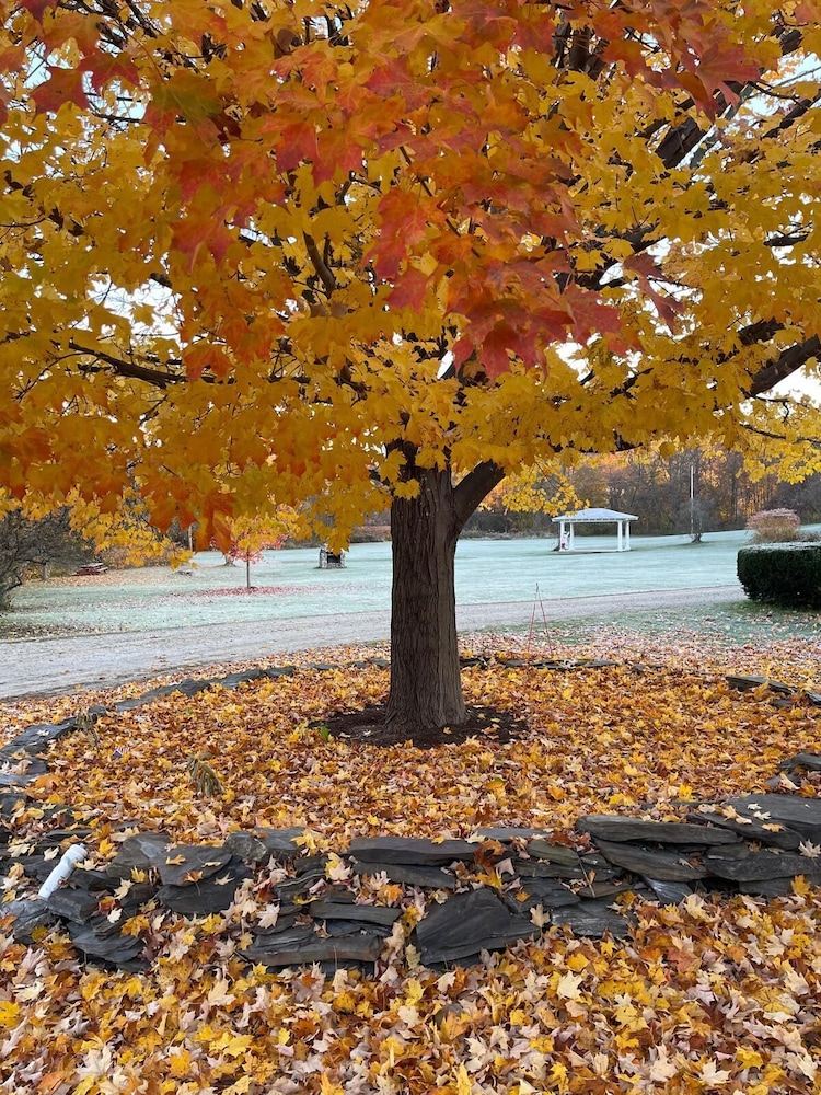Brandon Inn - photo 111