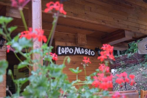Motel Lepo Mesto in Nis, Serbia