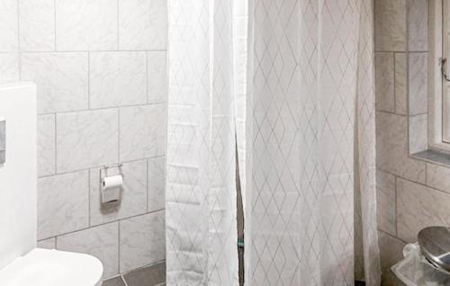 Elsebeth Fahlgren Ellegaard in Aeroskobing, Denmark