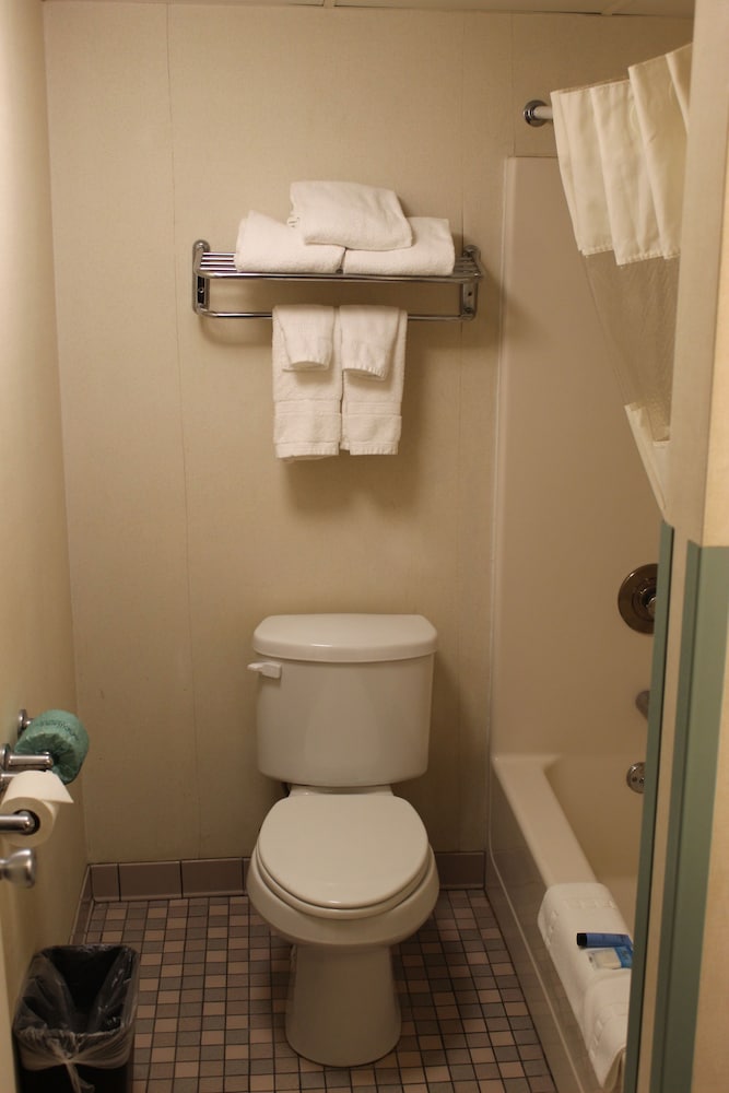 Lamplighter Inn & Suites South - photo 32