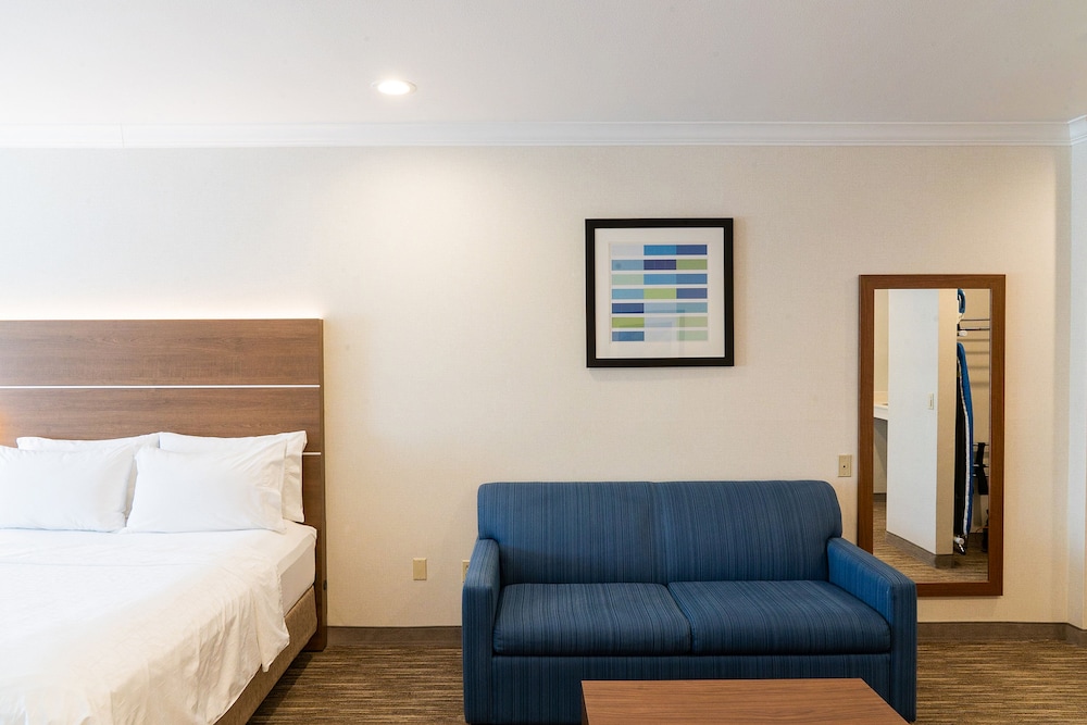 Holiday Inn Express Suites Davis University Area - photo 31