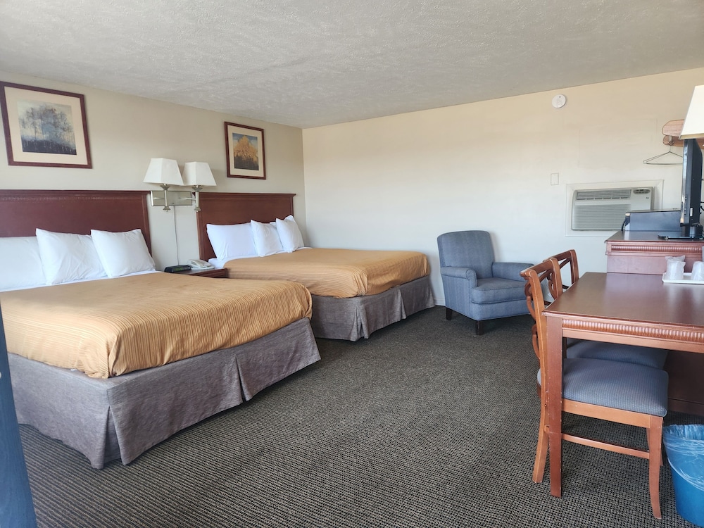 Royal Motel - photo 30