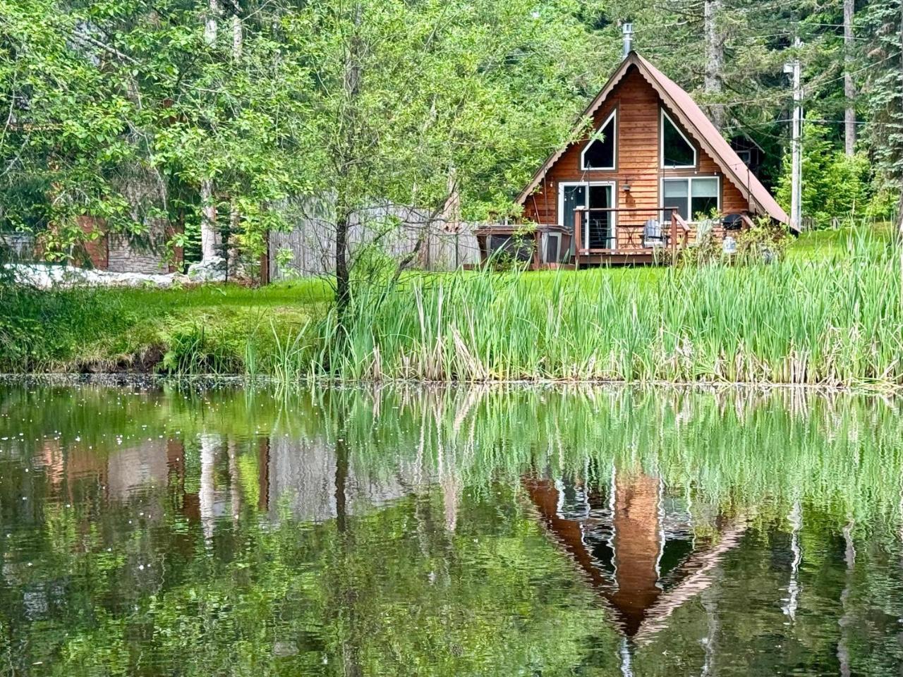 Perch Boho Getaway in Ashford, United States