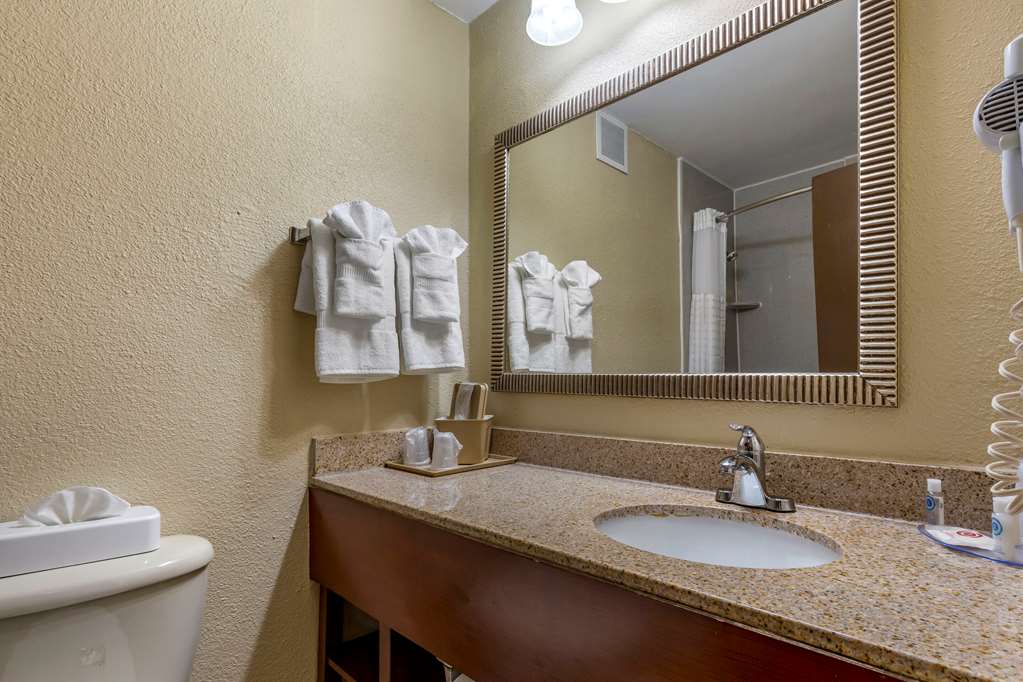 Comfort Inn Fort Mill Amusement Park at Carowinds Blvd - photo 12