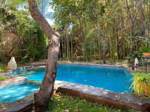 Elquihostel - last minute hotel in Unknown City