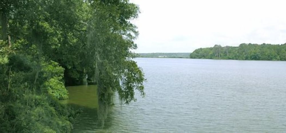 Lake Blackshear Resort & Golf Club - photo 47