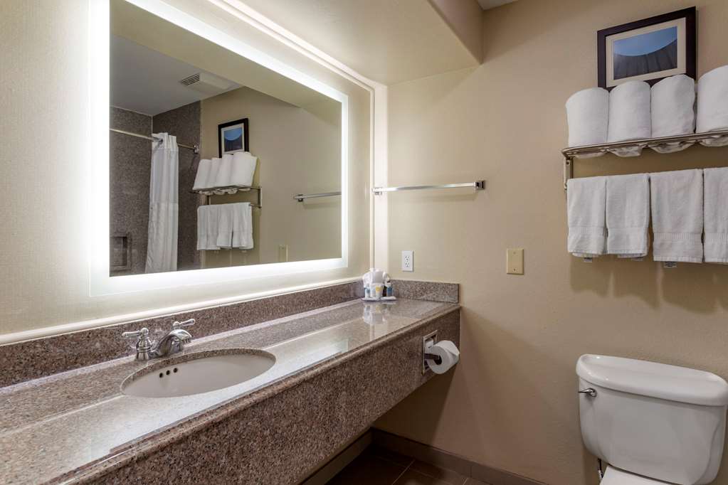 Comfort Suites Houston near Medical Center NRG Stadium - photo 13