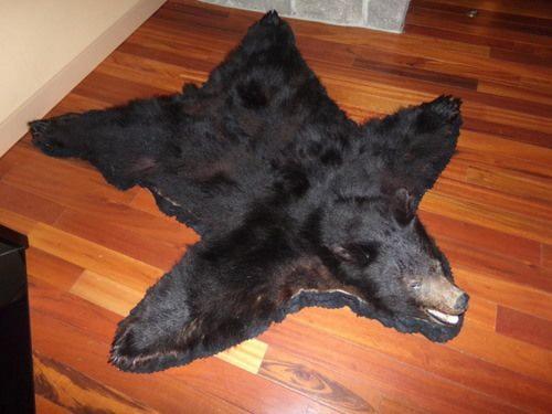 Cowlitz River Lodge - photo 18