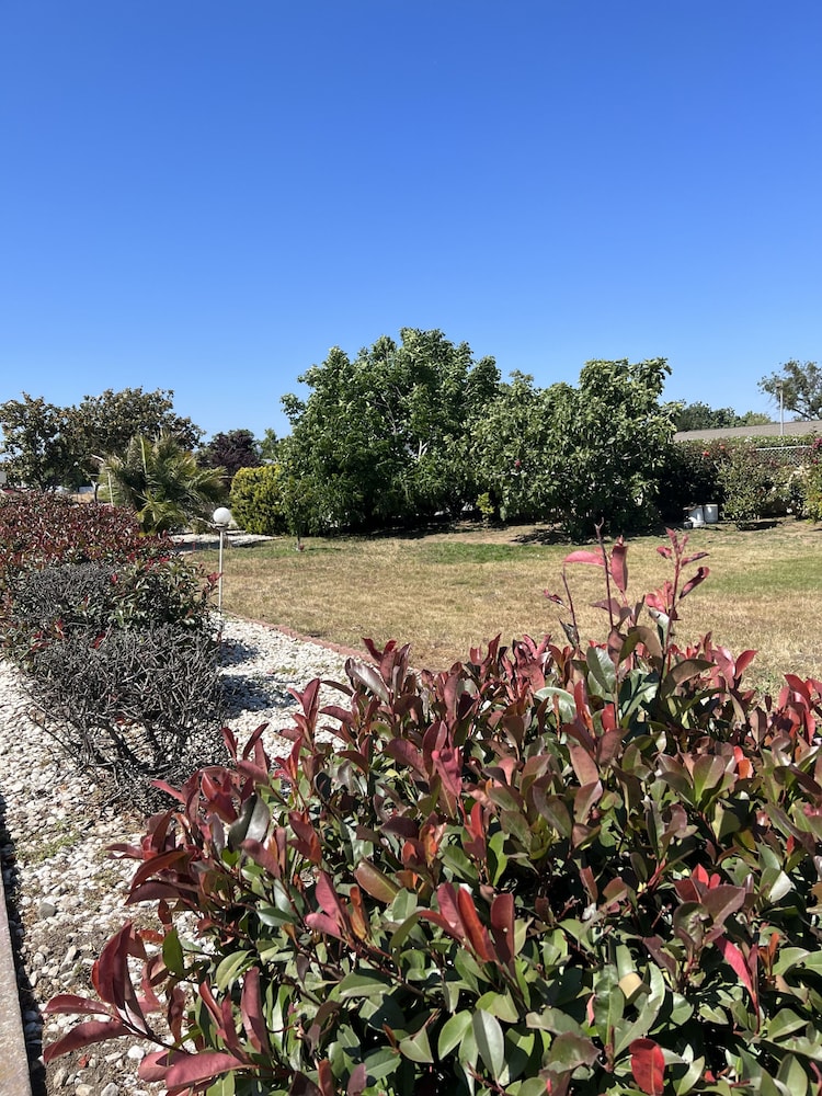 Travel Inn Gilroy - photo 20
