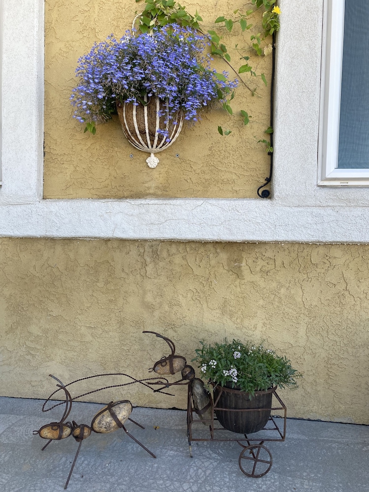 Browns Canyon Inn - photo 68