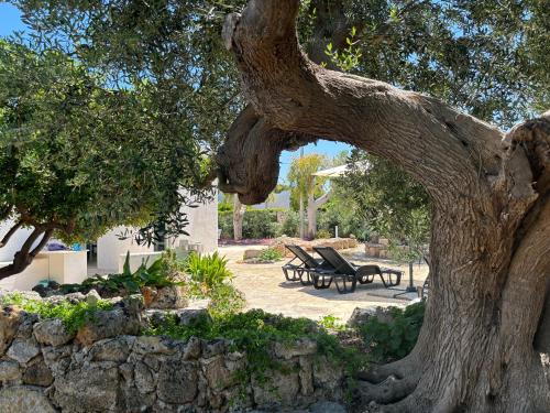 Aquarium Villa Con Accesso Al Mare Parcheggio — 4-Star Luxury Hotel in Polignano A Mare, Italy