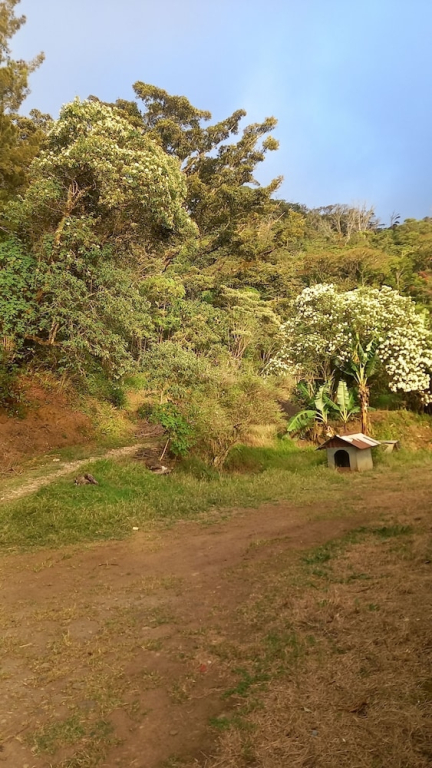 Finca panthera in Monteverde, Costa Rica