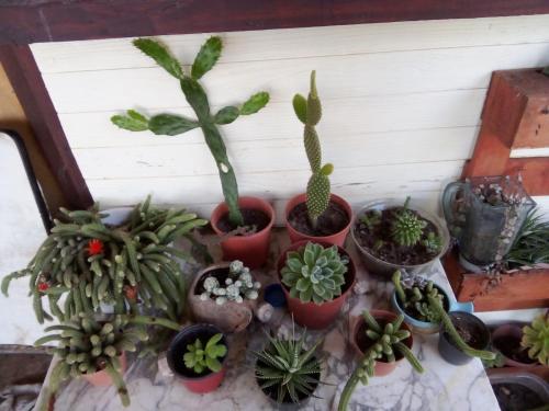 Refugio de paz — Unknown City — photo 2