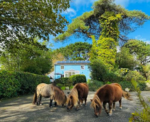 Bay View Cottage — 4-Star Luxury Hotel in St Austell, United Kingdom