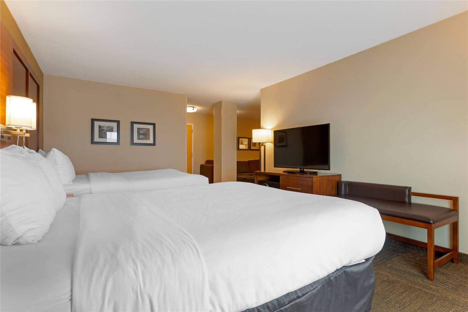 Comfort Inn & Suites Presidential Downtown Little Rock - photo 16