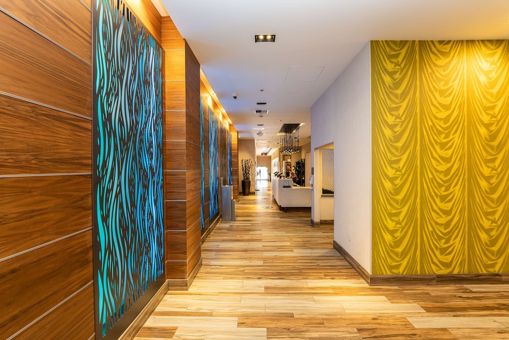 Hampton Inn San Francisco Downtown Convention Center - photo 8
