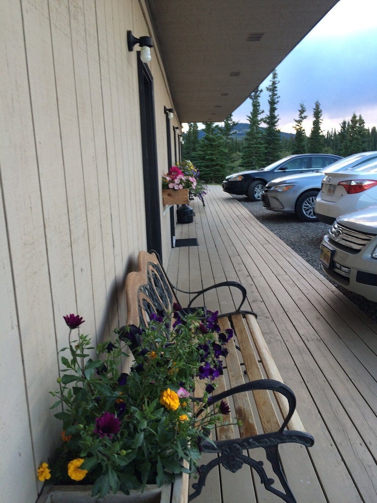 Denali Park Hotel - photo 43