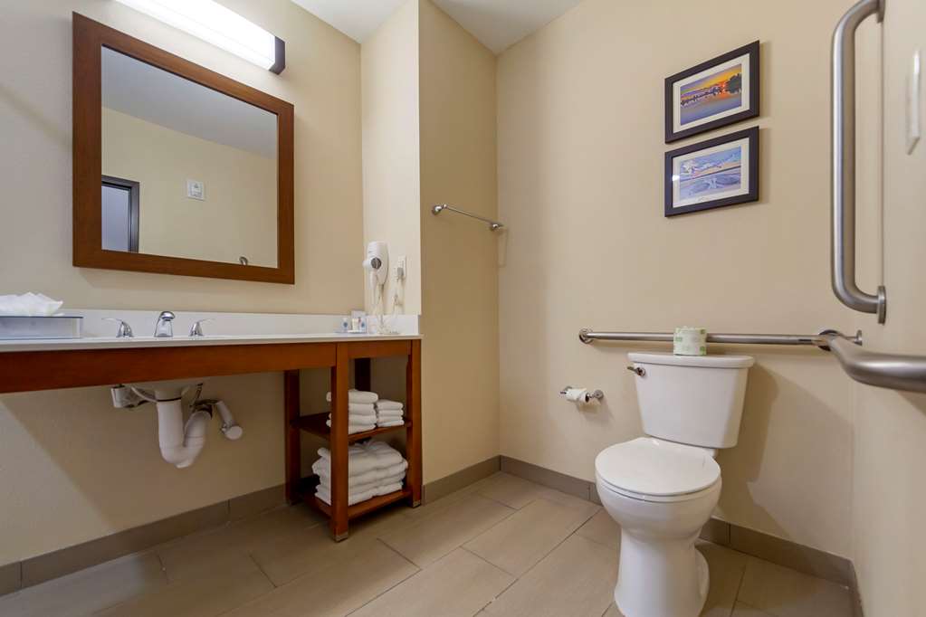 Comfort Suites La Vista Omaha - photo 23