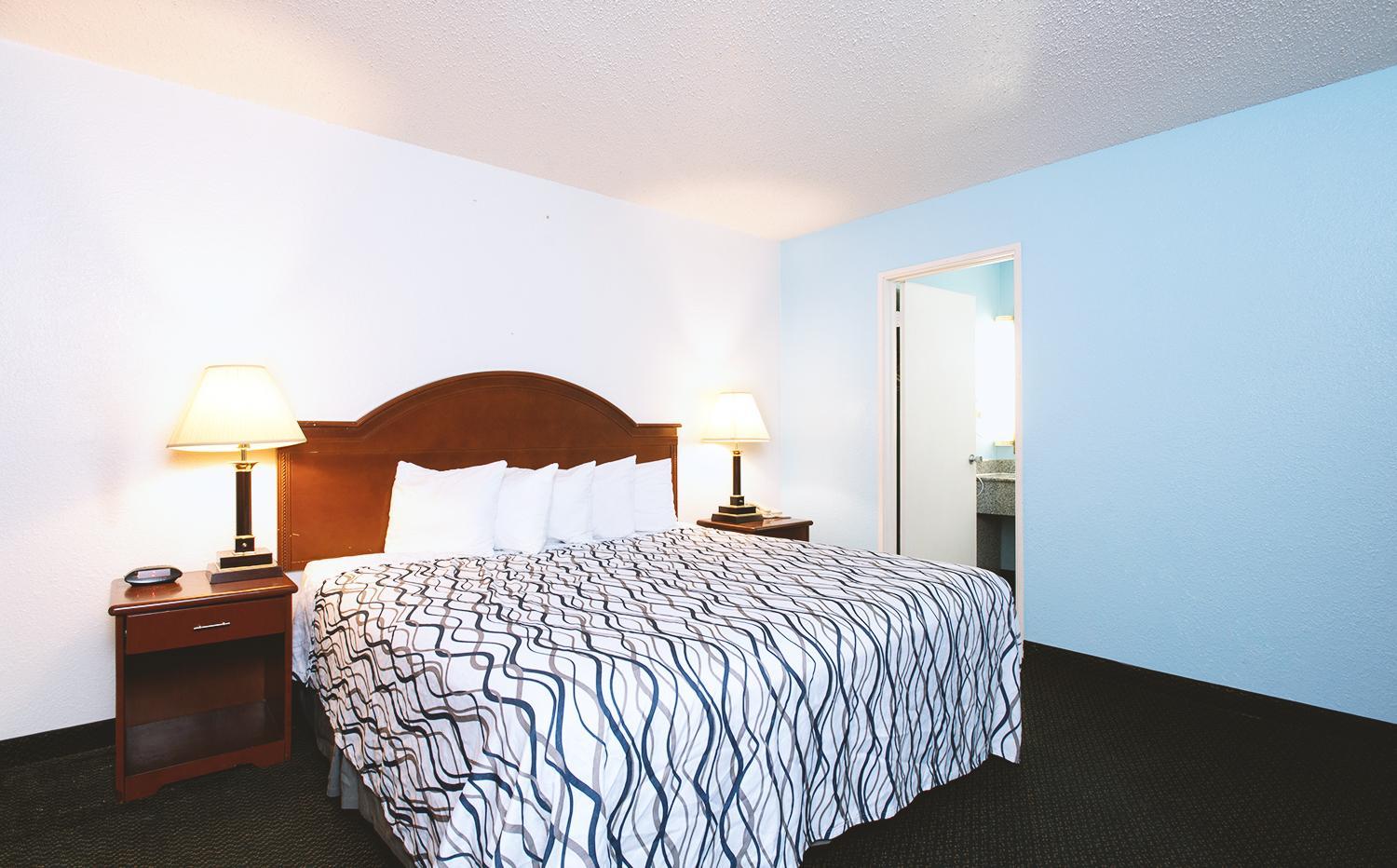 Sky Palace Inn & Suites Wichita East - photo 7
