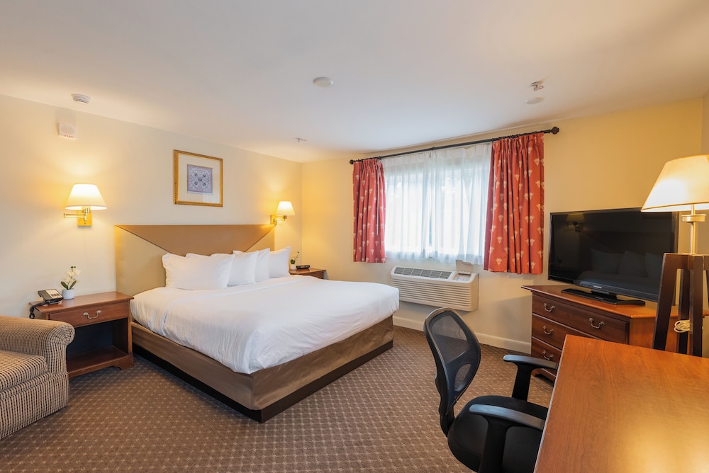 Senator Inn & Spa - photo 55
