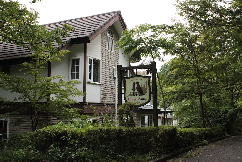 Klingel Baum in Hakone, Japan